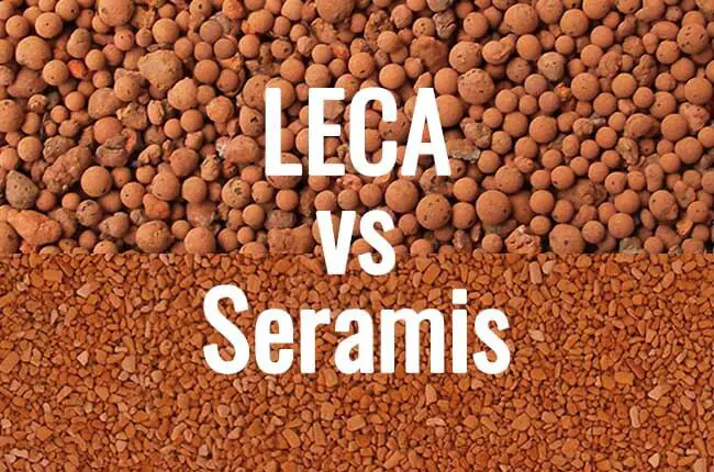 LECA vs Seramis