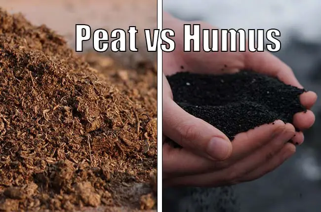 Peat vs Humus