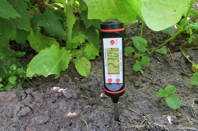 soil compost thermometer