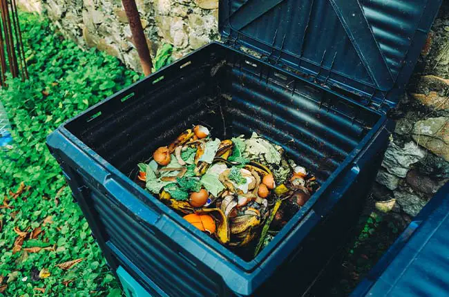 7 Conditions When Your Compost Can (Actually) Self-Ignite