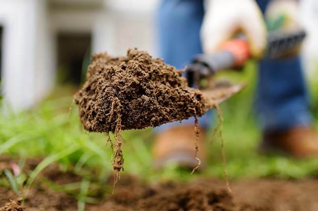 Increase soil microbes