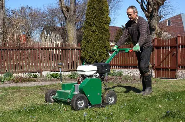 Should You Aerate Your Lawn? (Here’s The Proof)