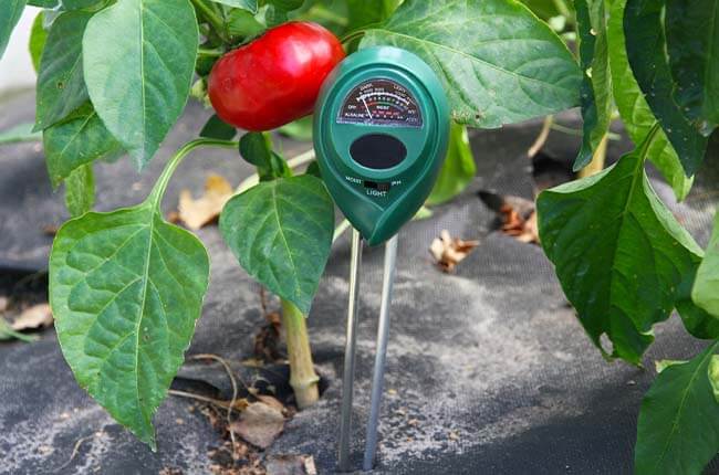 Soil moisture meter
