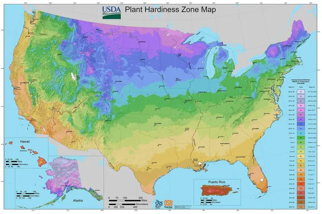 Hardiness zone of USA