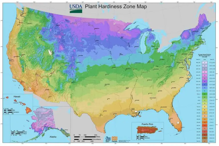 Best Zone for Gardening 13 Hardiness Zones Compared