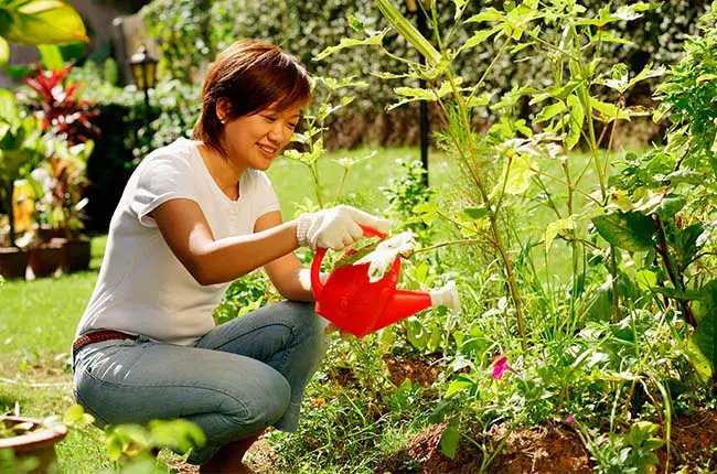 Best Zone for Gardening: 13 Hardiness Zones Compared