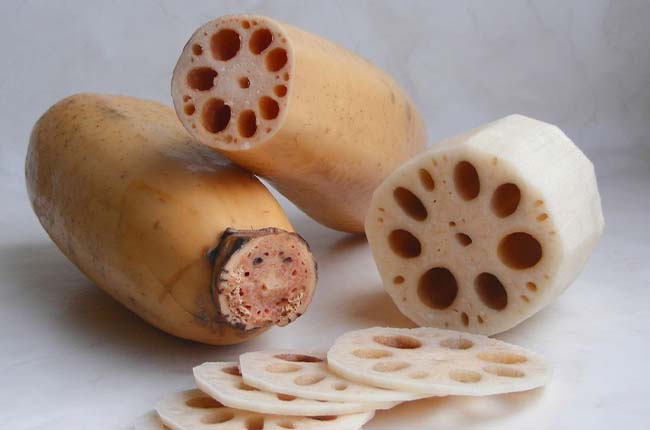 lotus roots have extensive aerenchyma