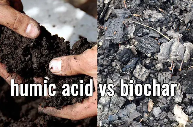 humic acid vs biochar